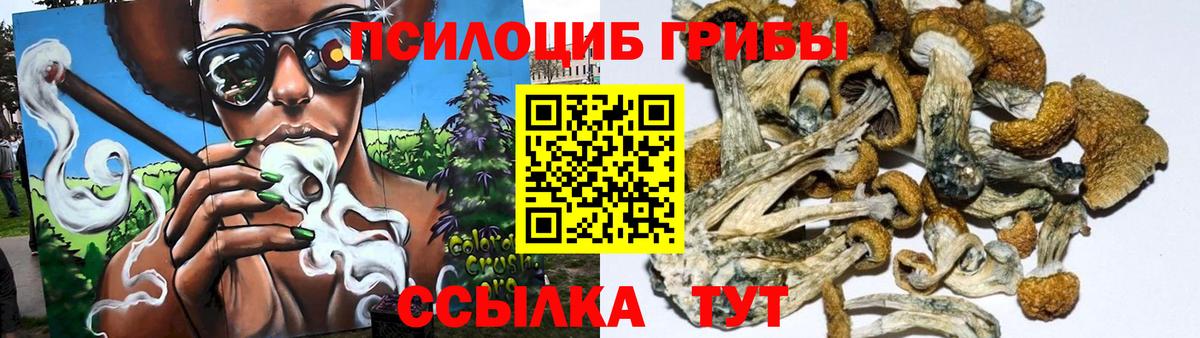 Галлюциногенные грибы мухоморы Усть-Джегута